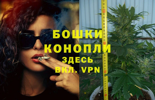 спиды Магас