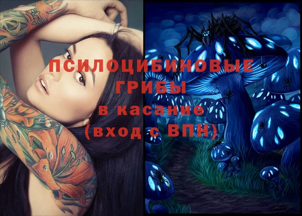 спиды Магас