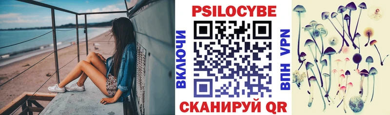 Псилоцибиновые грибы мицелий  Малмыж 